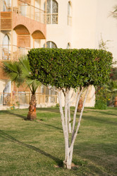 Similar image 618029