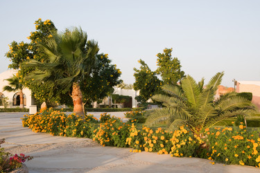 Similar image 618036