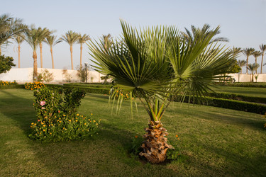 Similar image 618038