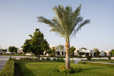 Similar image 618041