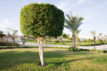 Similar image 618042