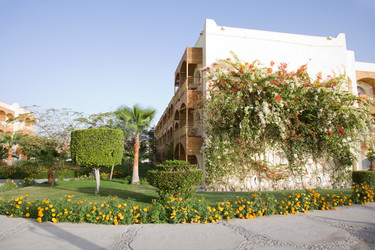 Similar image 618058