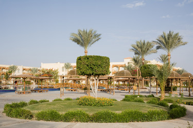 Similar image 618071