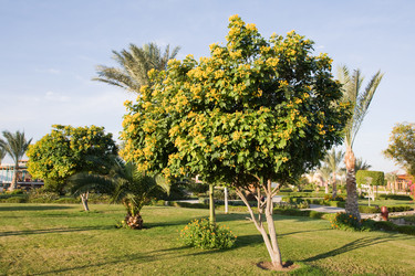 Similar image 618072