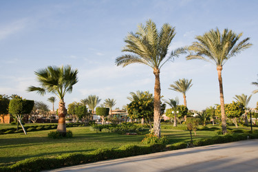 Similar image 618075