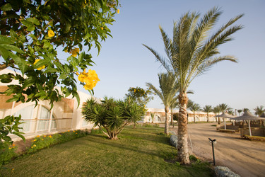 Similar image 618074