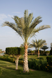 Similar image 618076