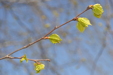 Similar image 618124