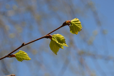 Similar image 618123