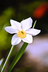 Similar image 618128