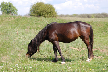 Similar image 618225