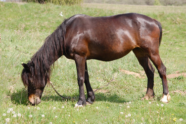 Similar image 618226