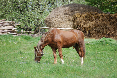 Similar image 618229