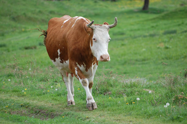 Similar image 618231