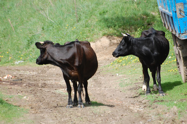 Similar image 618233