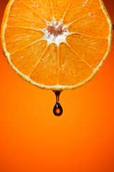 Similar image 618436