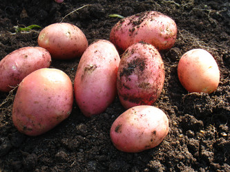 Similar image 618448