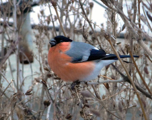 Similar image 618459