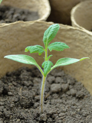 Similar image 618469