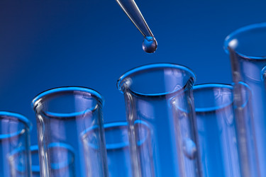 Similar image 618474