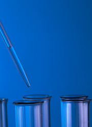 Similar image 618475