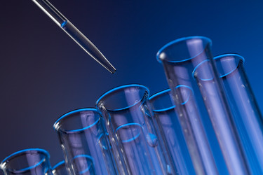 Similar image 618476