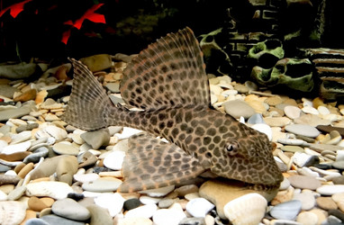 Similar image 618477