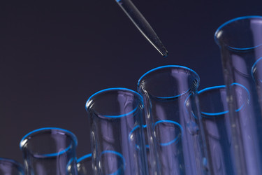 Similar image 618479