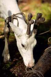 Similar image 618564