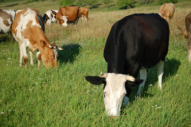 Similar image 618873