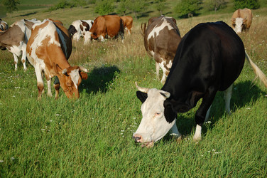 Similar image 618874