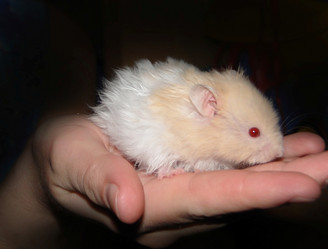 Similar image 619010