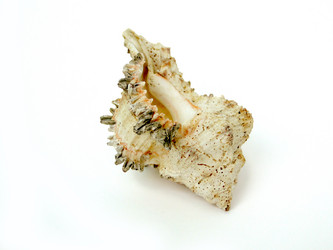 Similar image 619053