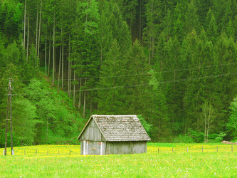 Similar image 619085