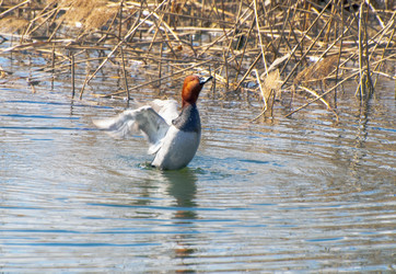 Similar image 619182