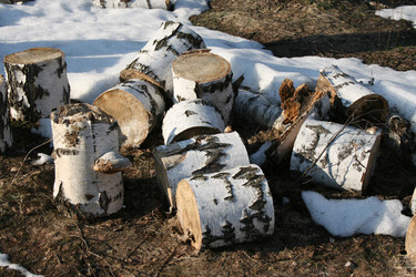 Similar image 619246