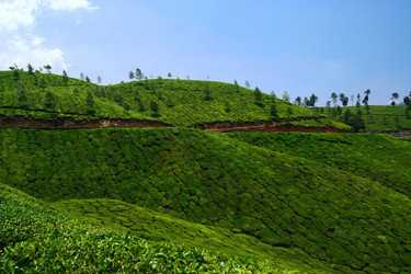 Similar image 619428