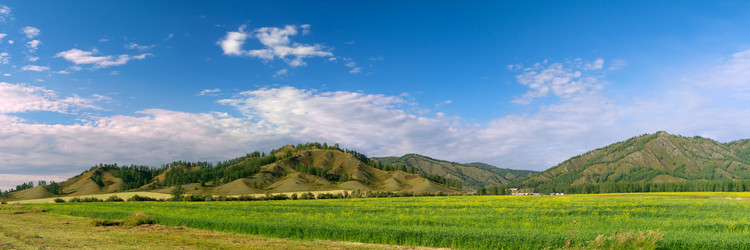 Similar image 619430