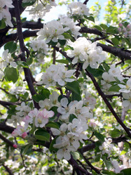 Similar image 619451