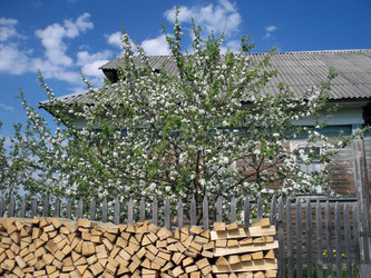 Similar image 619453