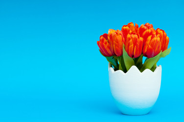 Similar image 619527