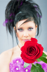 Similar image 619540