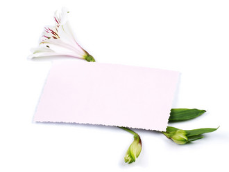 Similar image 619576