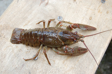 Similar image 619652