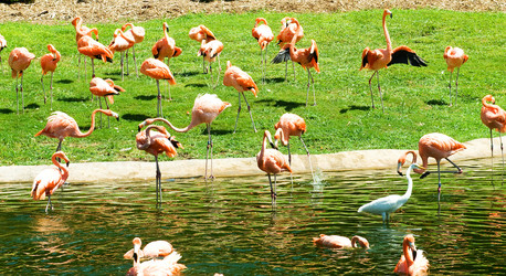 Similar image 619655