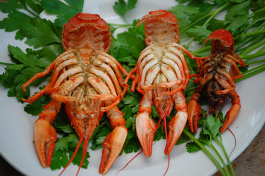 Similar image 619656