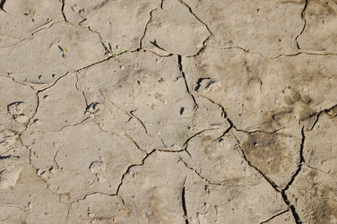 Similar image 619658