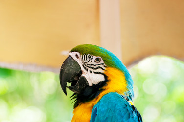 Similar image 619660