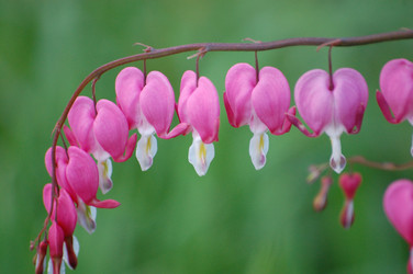 Similar image 619681