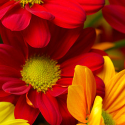 Similar image 619684